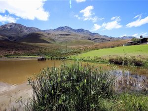 125.4 ha Farm in Oudtshoorn