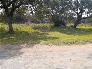 1802 m² Land available in Trafalgar
