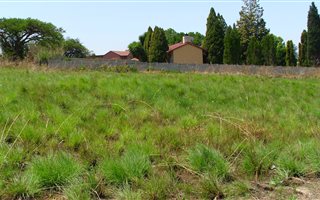 1046 m² Land available in Amajuba Park