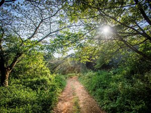 1986 m² Land available in Elaleni Coastal Forest Estate