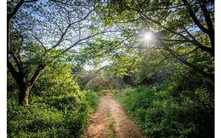 1986 m² Land available in Elaleni Coastal Forest Estate