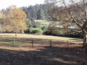 3 Bed House in Assagay