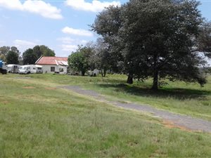 10000 m² Retail Space in Lilyvale