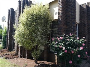 4 Bed House in Eastdene
