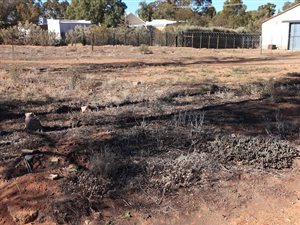 634 m² Land available in Loxton