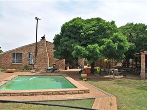 Farm in Bainsvlei