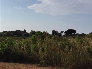 2.3 ha Land available in New Town Centre (Gateway)