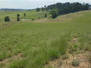 4469 m² Land available in Nottingham Road
