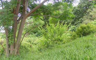 1103 m² Land available in Doon Heights