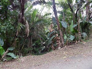 2210 m² Land available in Southbroom