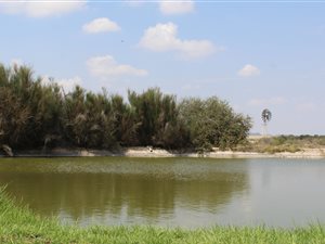6725 ha Farm in Victoria West
