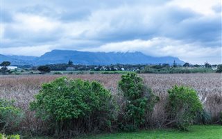3 Bedroom Apartment in Tokai
