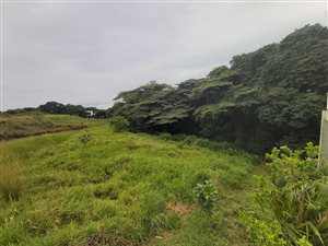 1154 m² Land available in Eshowe