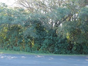 737 m² Land available in Cintsa