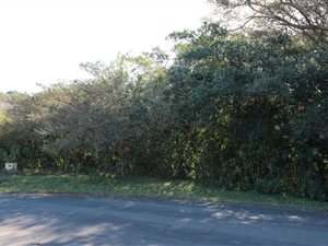 737 m² Land available in Cintsa
