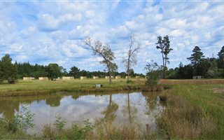 1.9 ha Farm in Harkerville