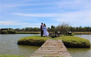 7 ha Farm in Melkbosstrand