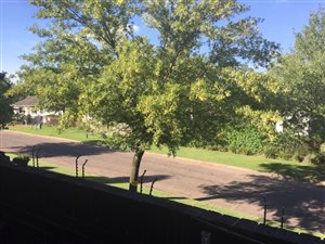 3 Bed Flat in Germiston South