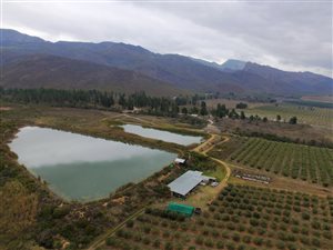 Farm in Robertson
