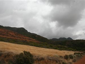 140 m² Land available in Riebeek Kasteel