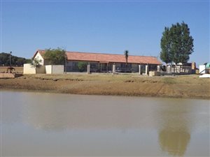 21 ha Farm in Tweedragt