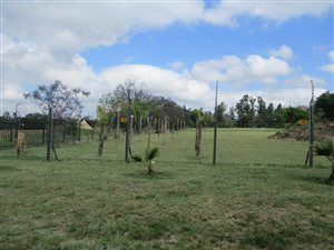 1 ha Land available in Ruimsig AH