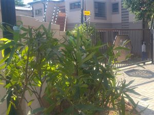 2 Bed Apartment in Randburg Central
