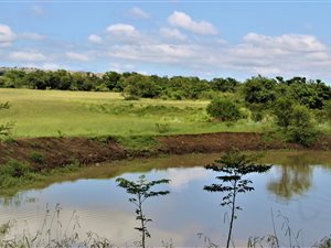 22.9 ha Farm in Elandshoek