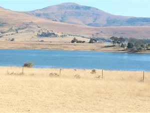 4 ha Farmland in Greytown