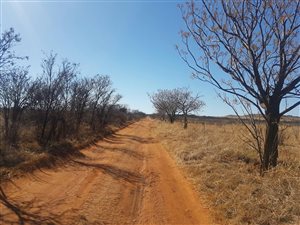70 ha Farm in Vyfhoek