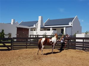 6 Bed House in Olifantskop