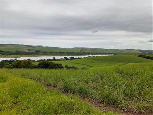 923 ha Farm in Tugela Mouth