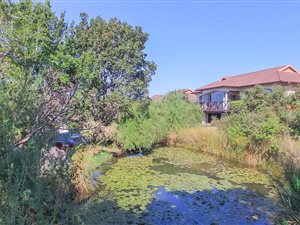 3 Bed Simplex in Le Domaine