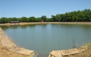 62.5 ha Farm in Jan Kempdorp