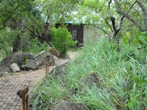 Farm in Nelspruit