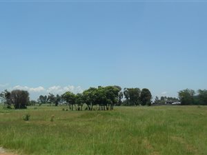 3.4 ha Farm in Vosloorus