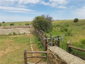 620 ha Farm in Ventersburg