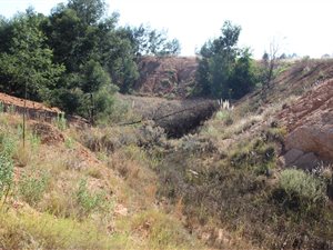 21.4 ha Farm in Bronkhorstspruit
