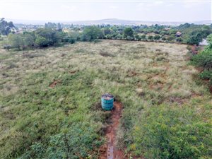 2 ha Smallholding in Gerhardsville