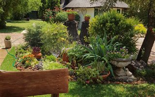 1 Bedroom Garden Cottage in Glen Austin