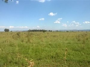 8.6 ha Land available in Carletonville