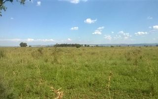 8.6 ha Land available in Carletonville