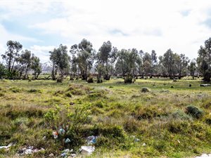 2.3 ha Land available in Greenbushes AH