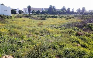 618 m² Land available in Golden Mile