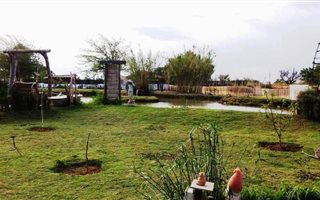 6.3 ha Land available in Ferreira