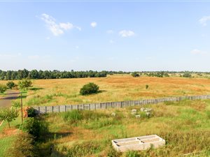 6 ha Farm in Dersley