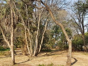 982 m² Land available in Wilkoppies