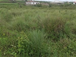 800 m² Land available in Adams Mission