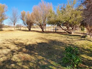 15 ha Farm in Kathu