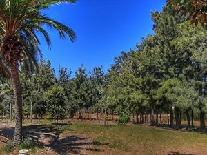 5.2 ha Farm in Somerset West Central